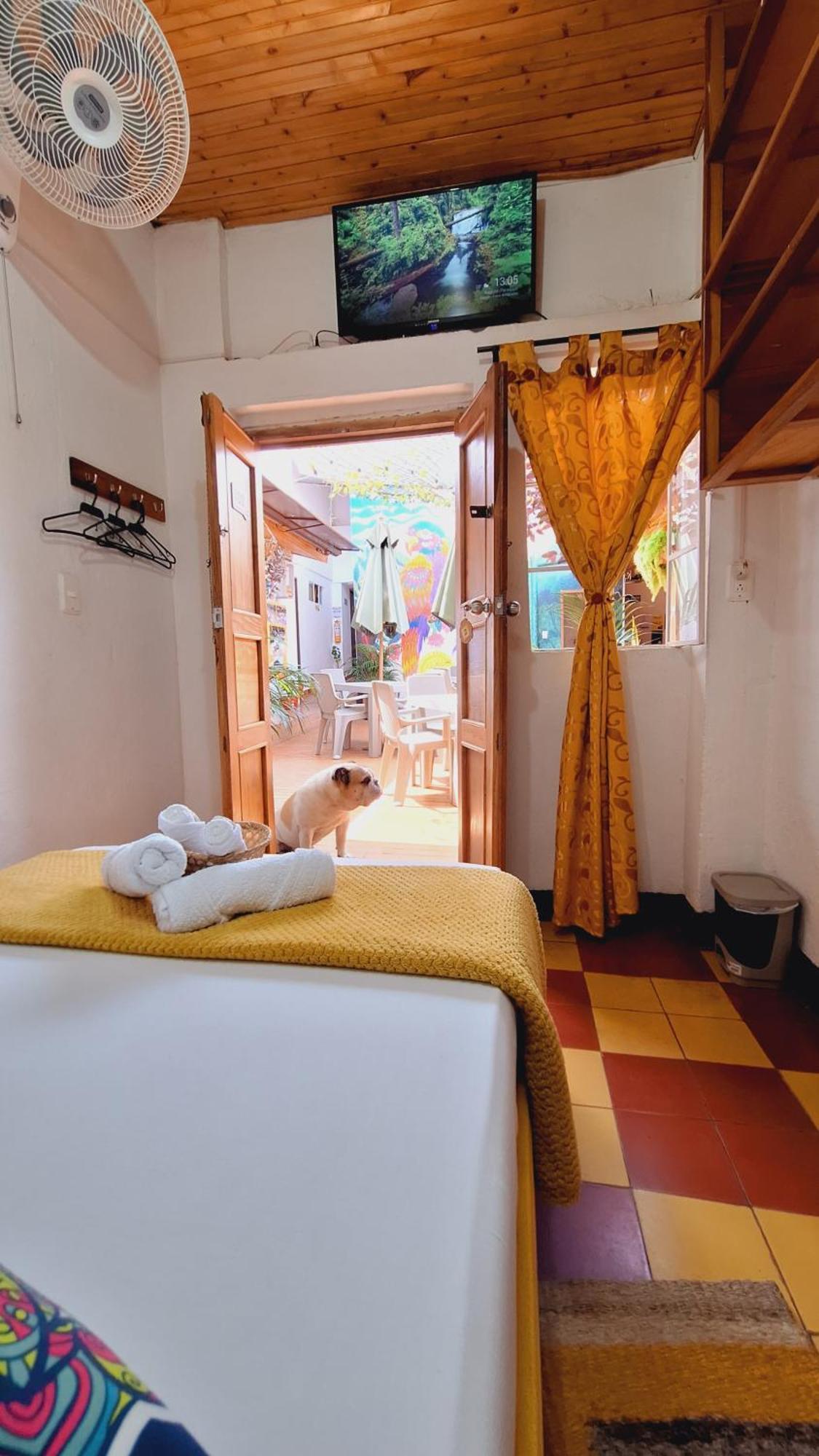 Hostal Colombian Gold San Gil Kültér fotó